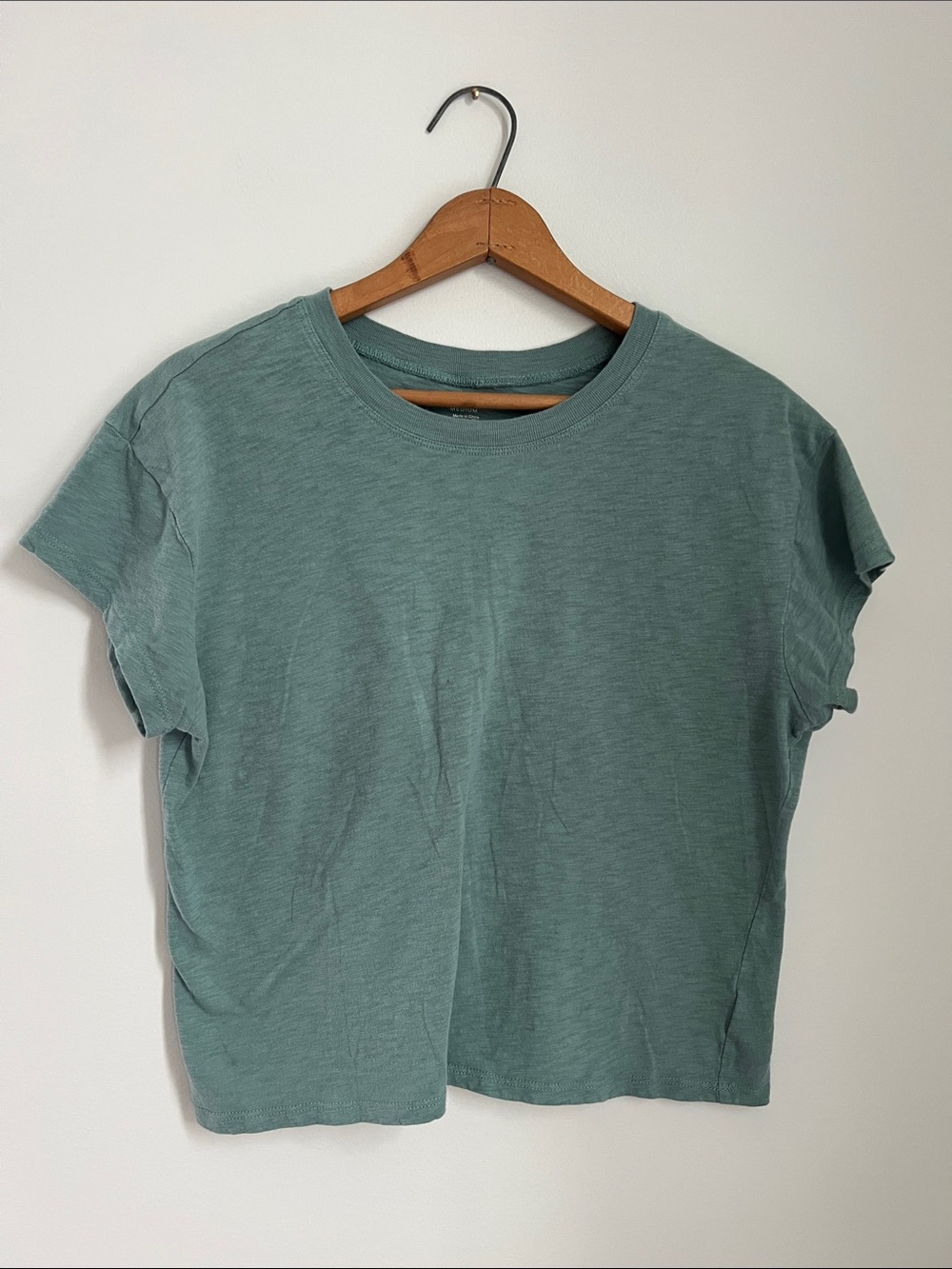 ZSupply | Relaxed Boxy 100% Cotton Crew Neck Tee in Sage Green Medium